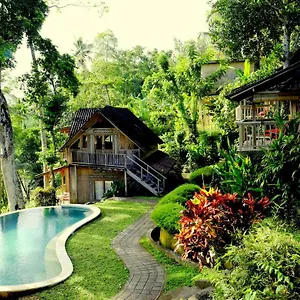 Prashanti Bali 2*, Ubud Indonesië